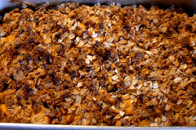 apple_crisp_pan_040211_P1070983.JPG