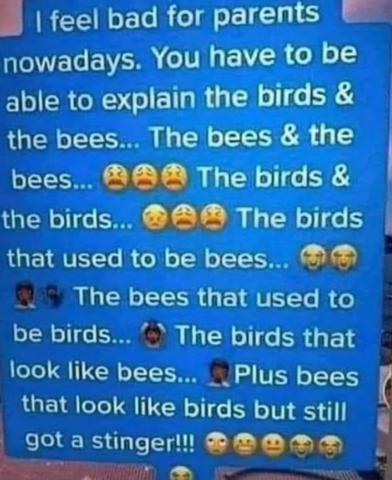 birds and bees.png