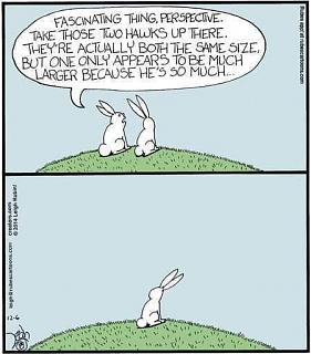 bunny perspective.jpg