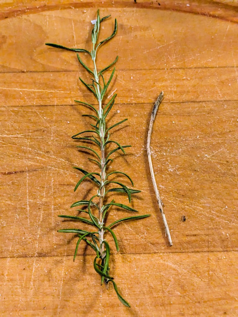 chomped rosemary.jpg