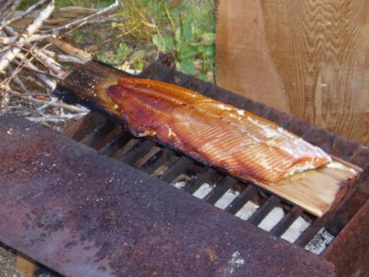 ######Cedar Plank Salmon.jpg
