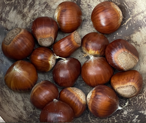 Chestnuts .png