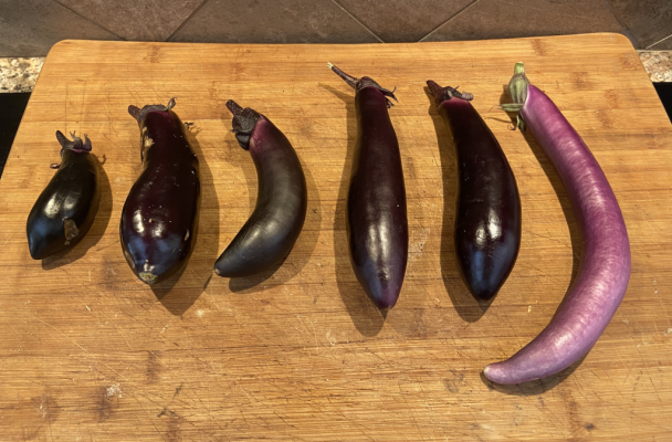 Eggplants.png