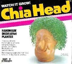 Chia-Head.jpg