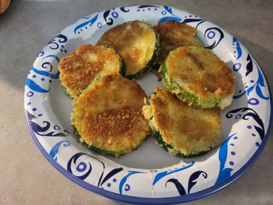 Fried Zucchini.jpg