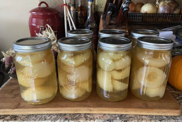 Pears canned .png