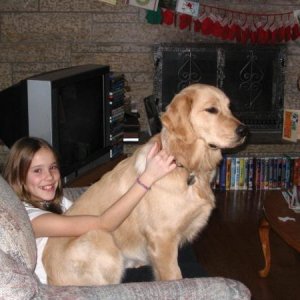 Madeleine and Murray the lap dog