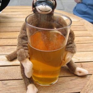 Our monkey, Milton.  He is an alcoholic and loves somerset cider.