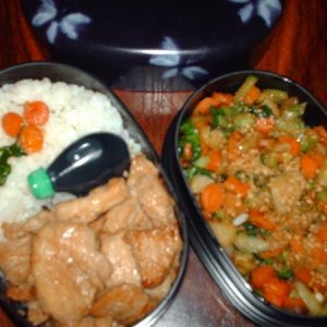 Turkey and rice with Bok Choy, Onion and Carrot. Ist Bento meal.