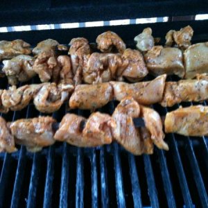 IMG 0362[2]
Chicken shiskebab on the grill