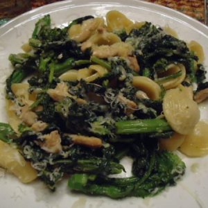 Orecchiette with Broccoli Rabe, Olive Oil and Cheese
