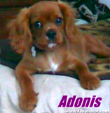 Adonis was like 10 months old at that time.