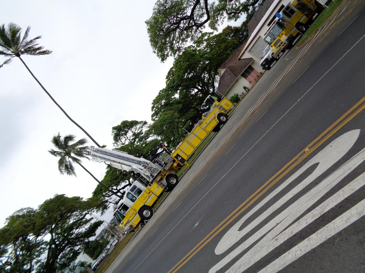 Even the Honolulu Fire Department has to trim their Coconut Trees