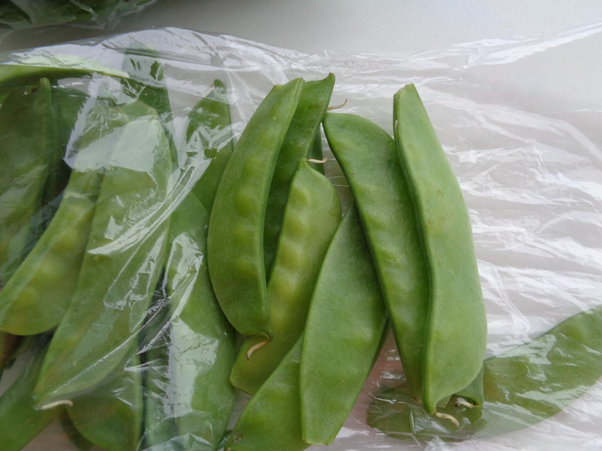 From the KCC Farmer's Market, locally grown Chinese Peas or Snow Peas