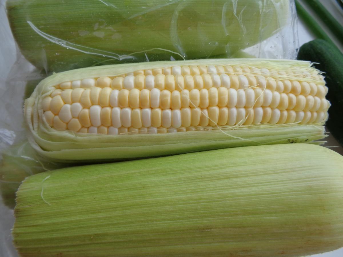 From the KCC Farmer's Market, locally grown, Ewa Corn