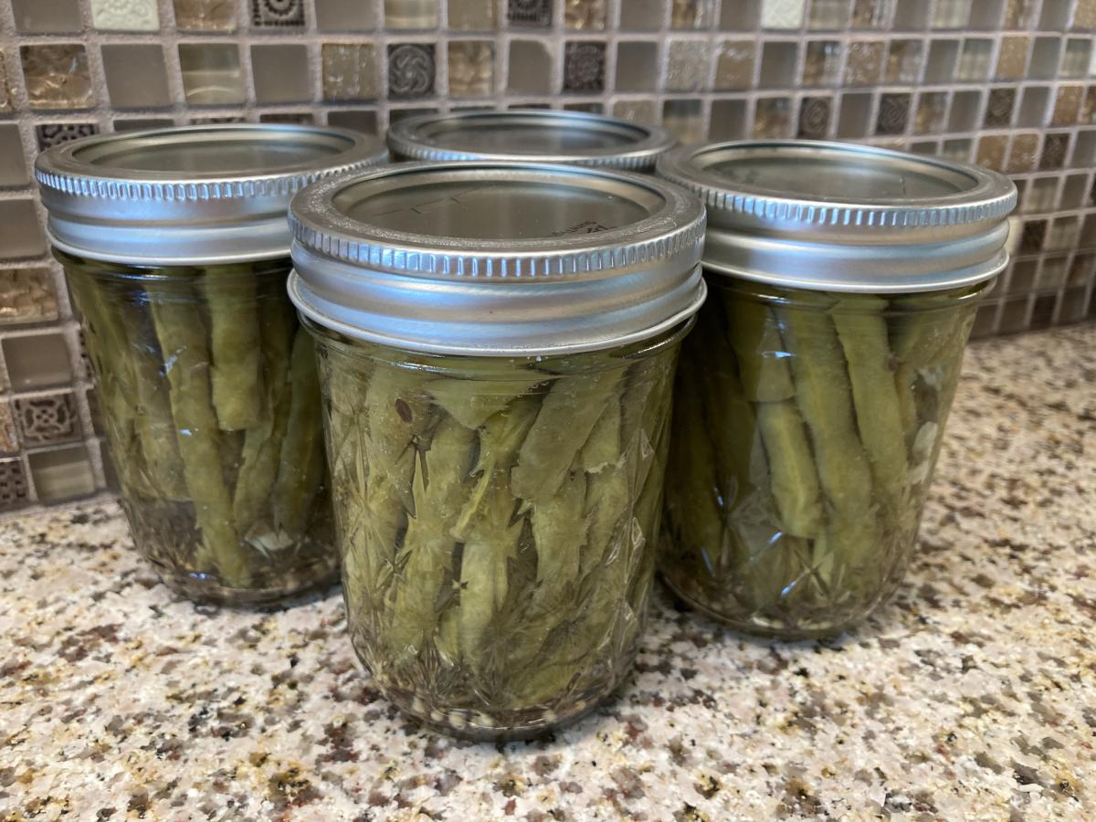 Home canned Dilly Beans