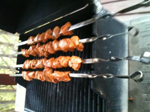 IMG 0361[1]
Chicken shiskebab on the grill