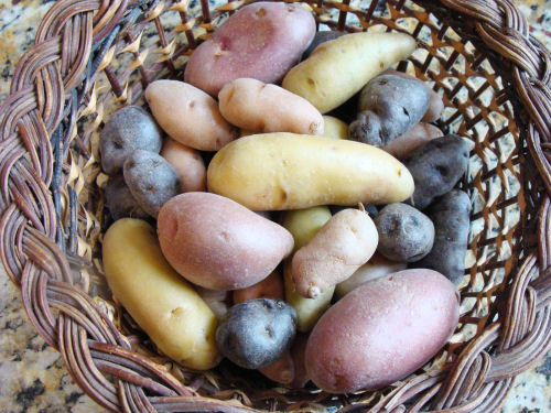 Mixed Fingerling Potatoes