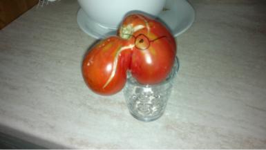 One of our tomatoes last year.