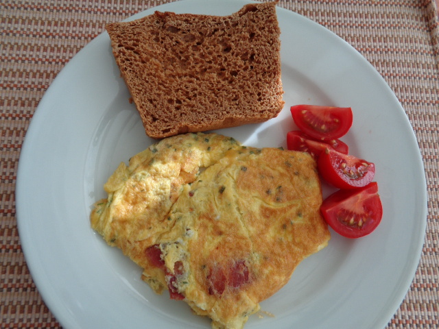 TOAST!! I made a loaf of KAF No Knead 100% Whole Wheat Bread and it was so lovely the nest day for breakfast.  Along with a BACON Omelet and diced Tom