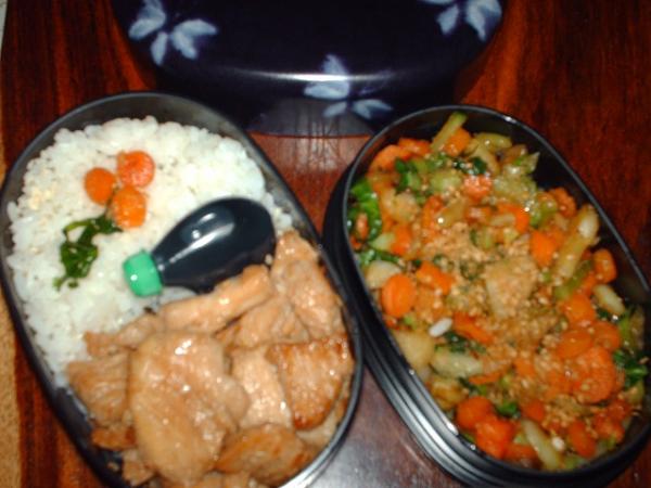 Turkey and rice with Bok Choy, Onion and Carrot. Ist Bento meal.