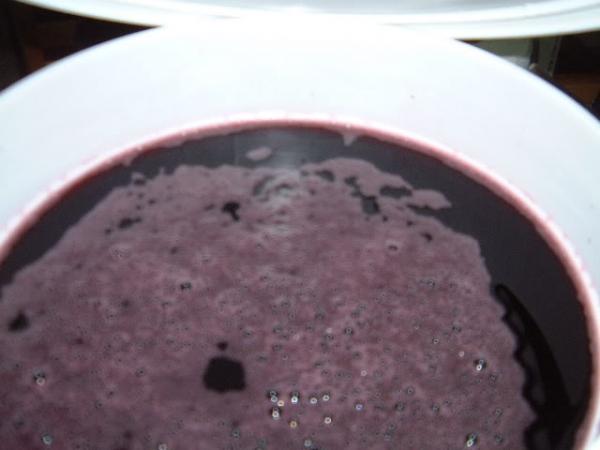 wine in progress