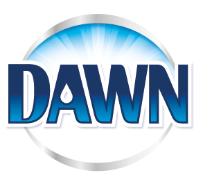 dawn-dish.com