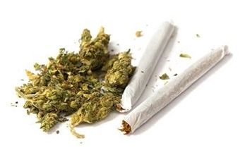 marijuana-ss-417.jpg